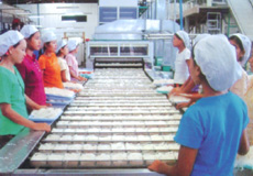 粉块干燥机 粉块干燥机